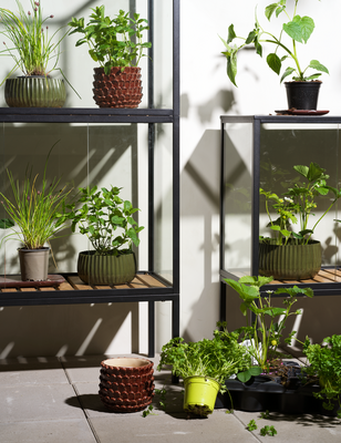 Grower Greens Planteskap Svart