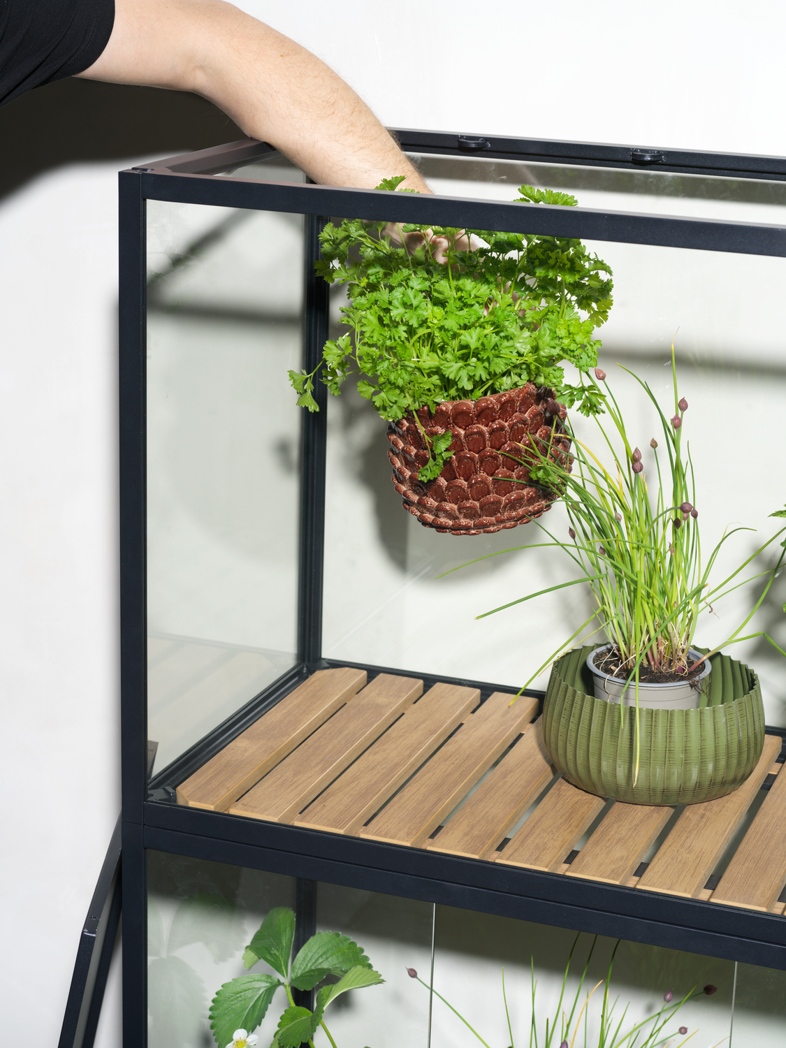 Grower Greens Planteskap Svart