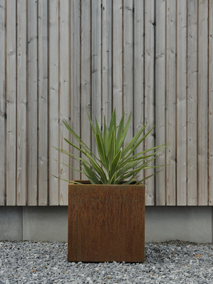 Kummin potter Corten